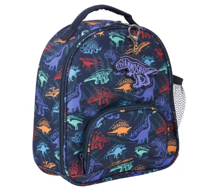 Officeworks insulated lunch bag for back to school 