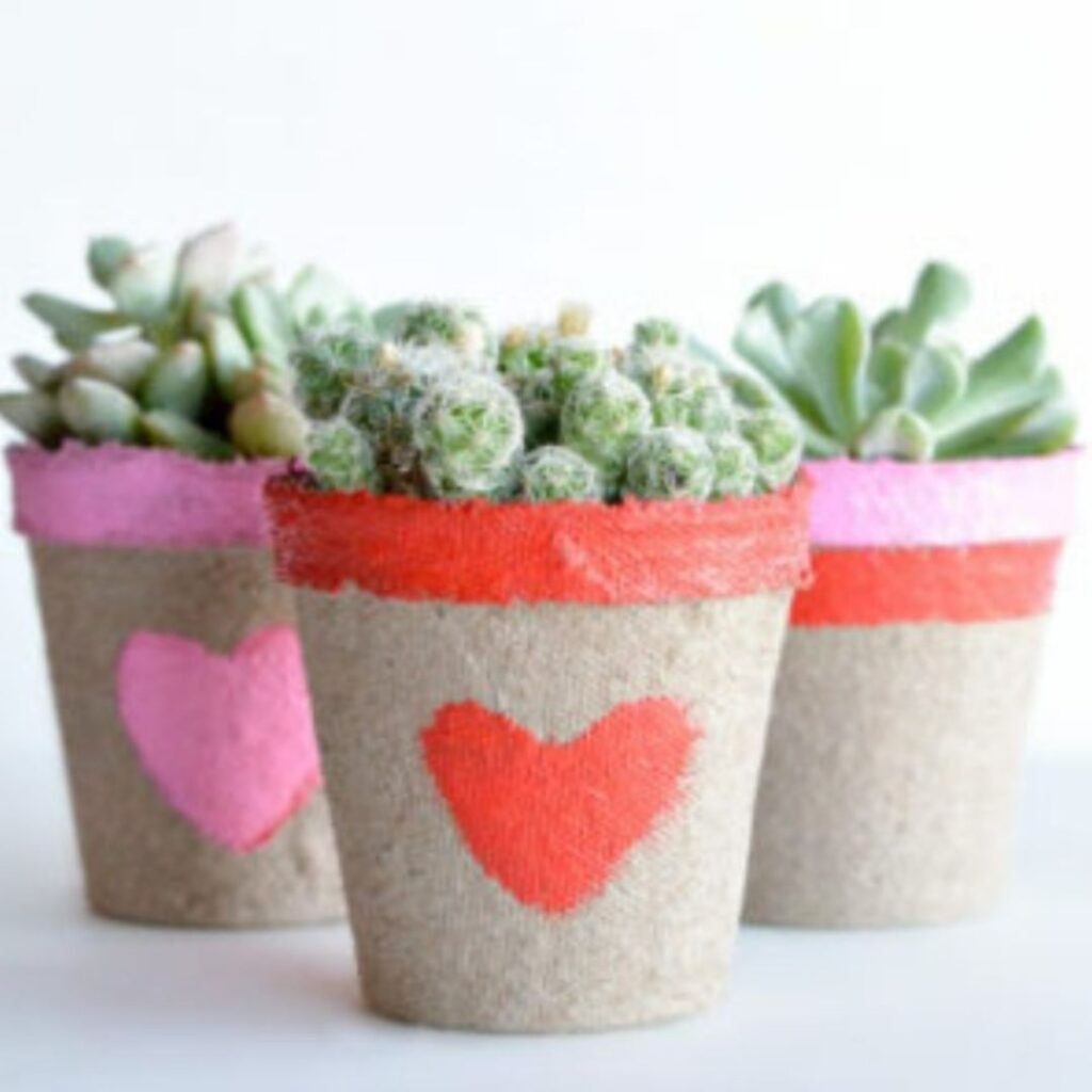 Craft succulent pots