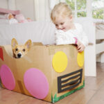 Holiday help! An art expert suggests screen-free things to do in every room of the house