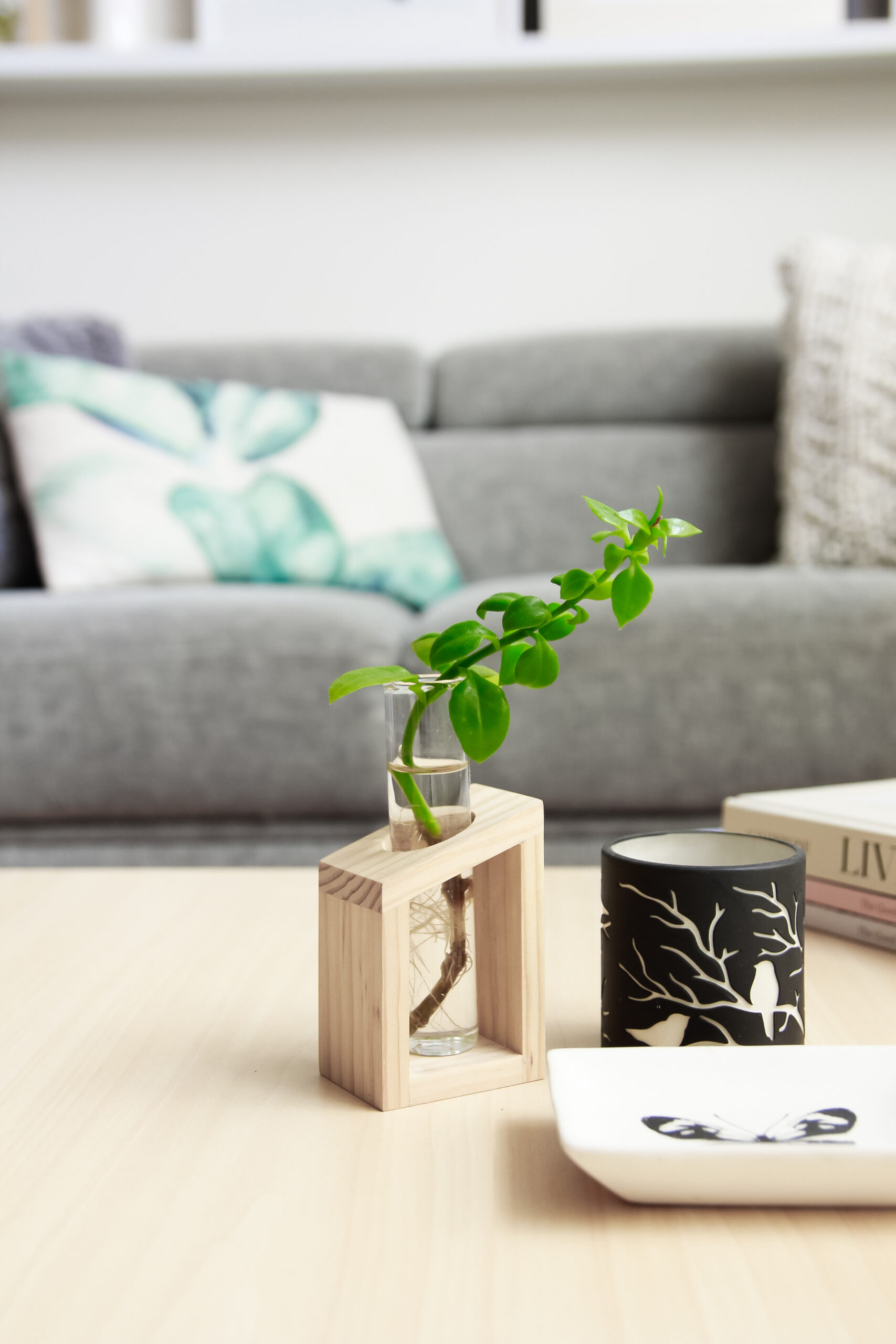 Plant propagation station