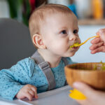 Small brown eyed boy being spoon fed while he sits in a portable highchair