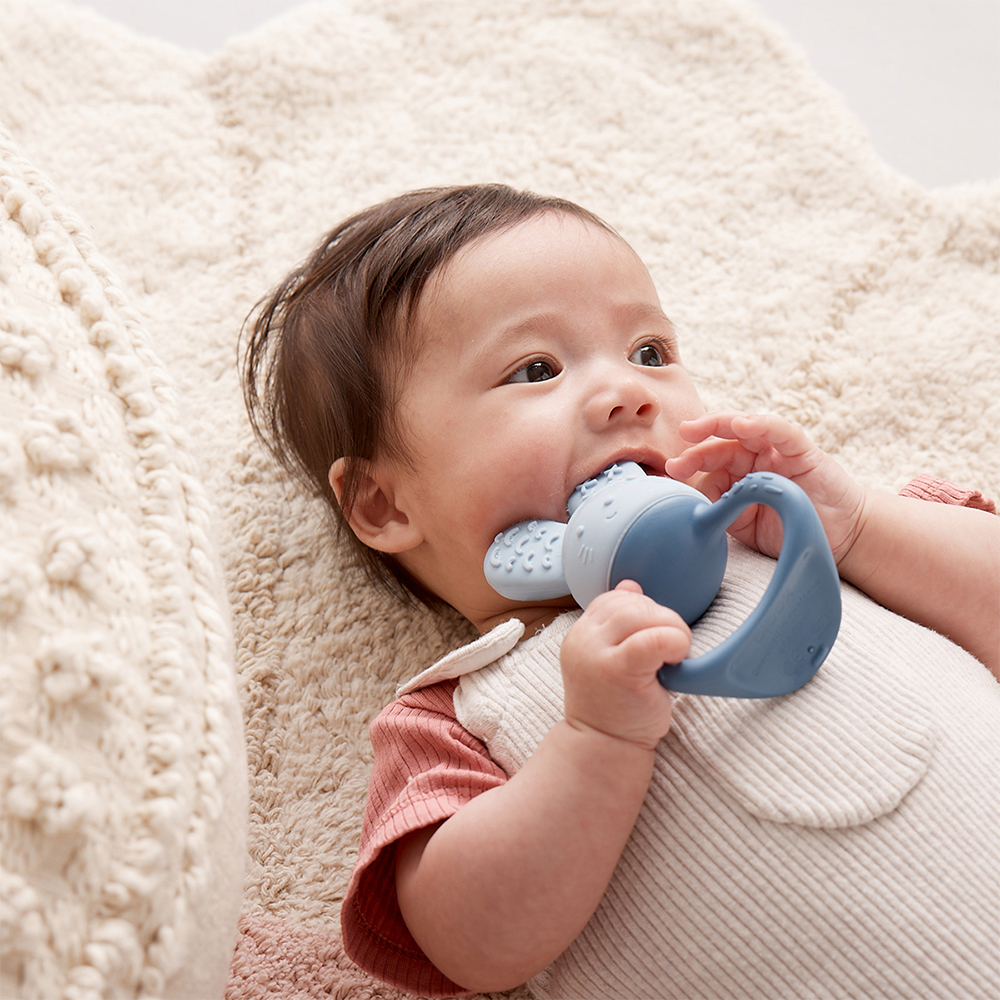 b.box for kids chill + fill teether | Bounty Parents
