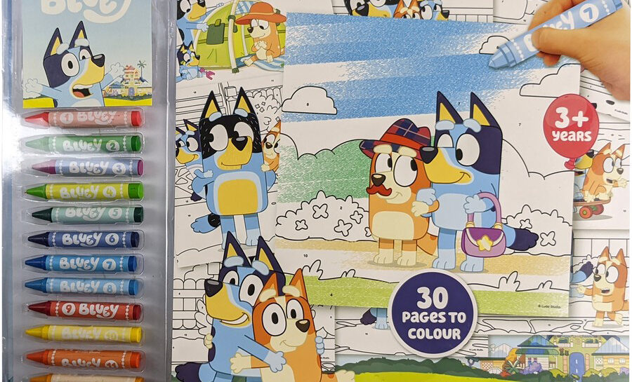 The Best Bluey Colouring-In Books For Kids In Australia