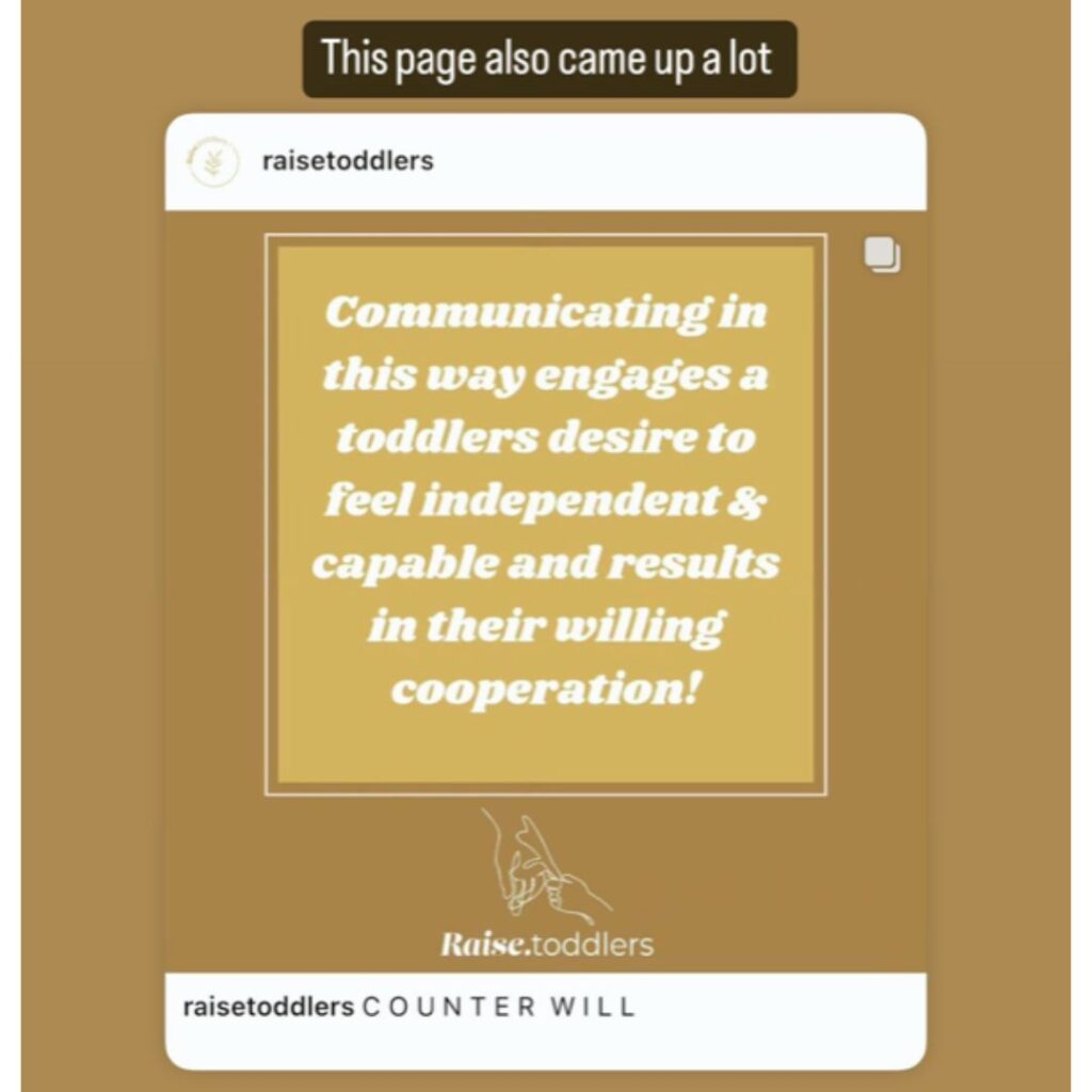 Raise Toddlers Instagram page recommendation