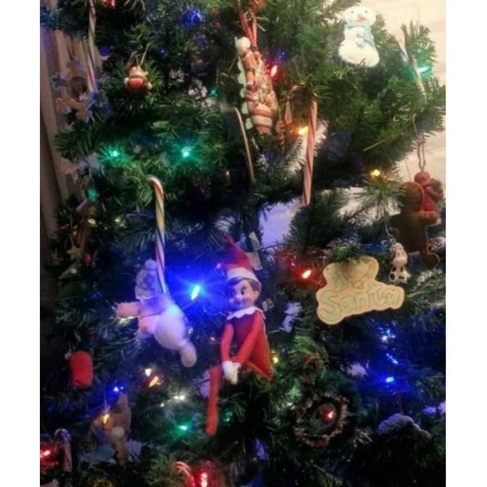 Elf on the Shelf Hide in the Christmas tree