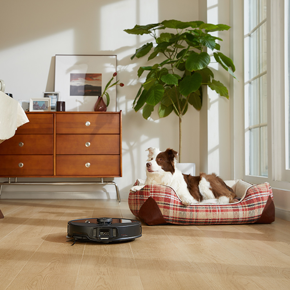 Roborock S8 MaxV Ultra lifestyle shot of vac working in room while a reclining border collie looks on.