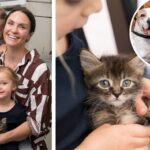 Laura Byrne pet adoption