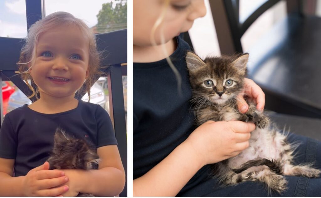 Laura Byrne's daughter Lola with their kitten Raspberry