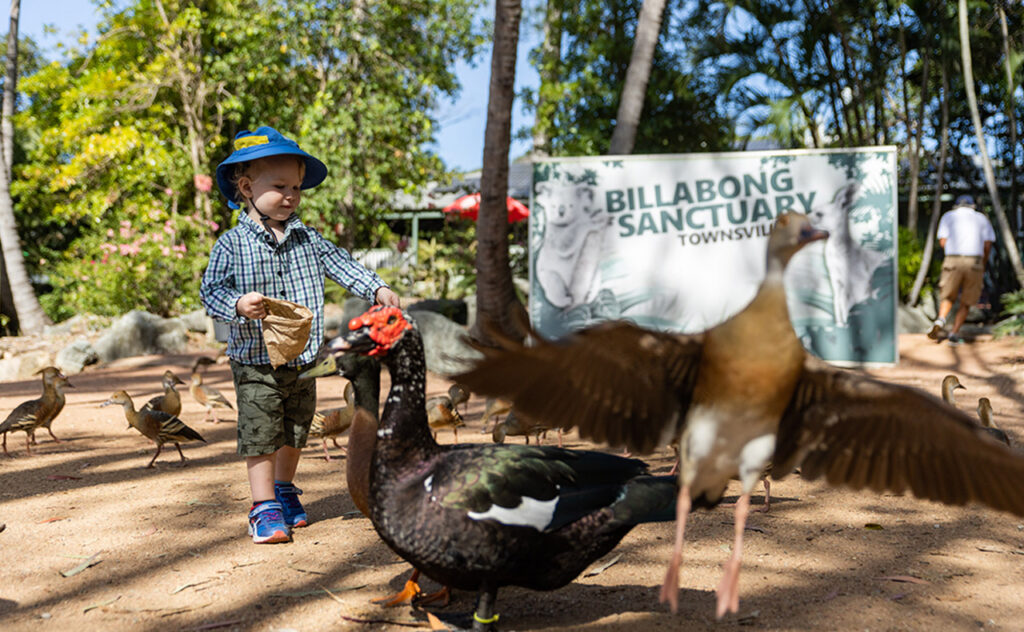 Townsville's family fun guide: activities for all ages!| Bounty Parents