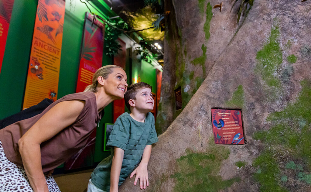 Mother and young son enjoying Townsville Queensland Museum