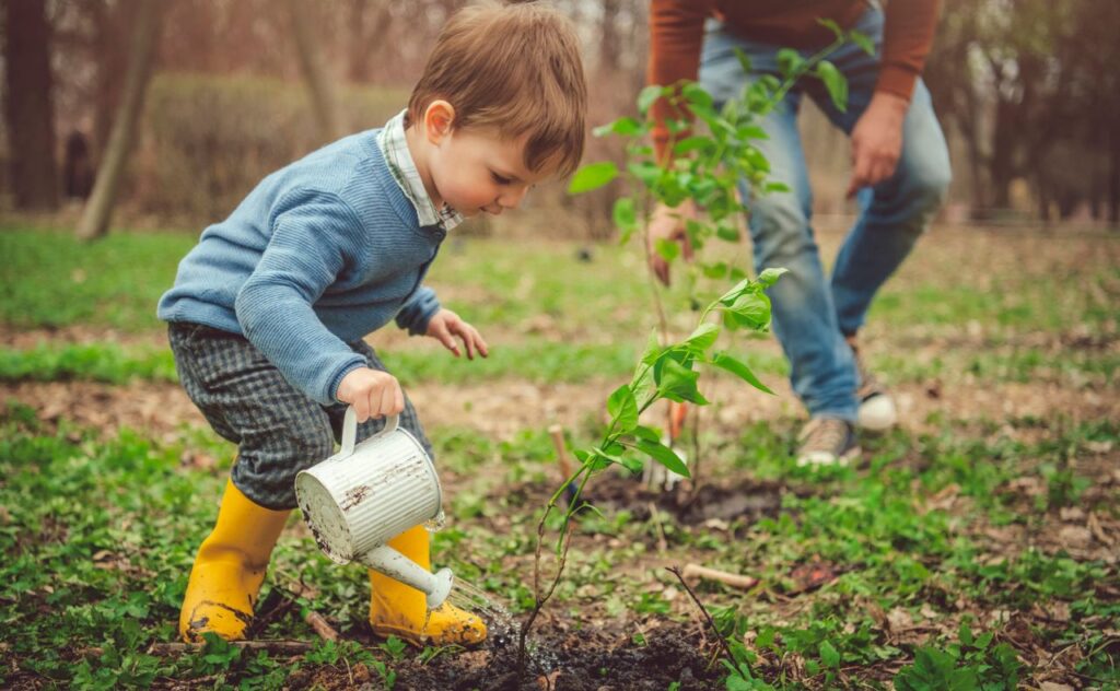 Toddler boy dressed in yellow boots watering a small tree using a white watering can