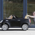 Baby boy pushing little ride on car
