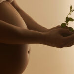 Pregnant woman holding sapling, mid section, close-up