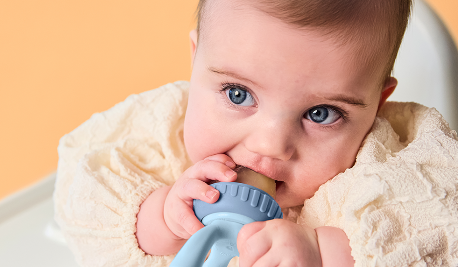 Silicone Fresh Food Feeder