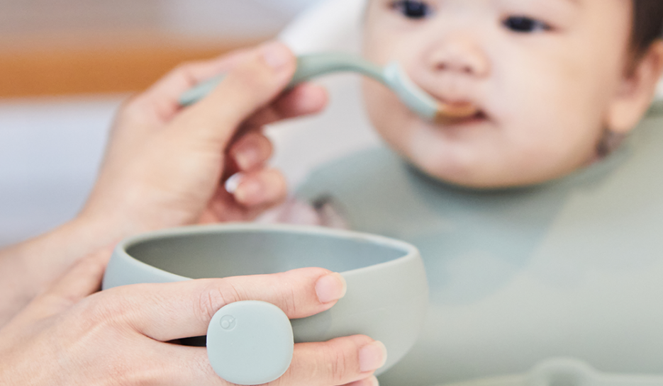 Silicone Bowl + Lid