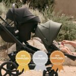 Best capsule: Bounty Baby Awards/ Bugaboo Nuna