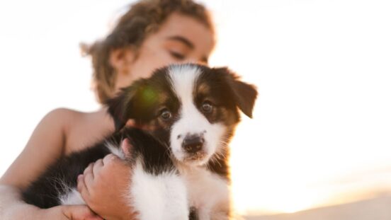 Gifts for pets: Girl holding puppy