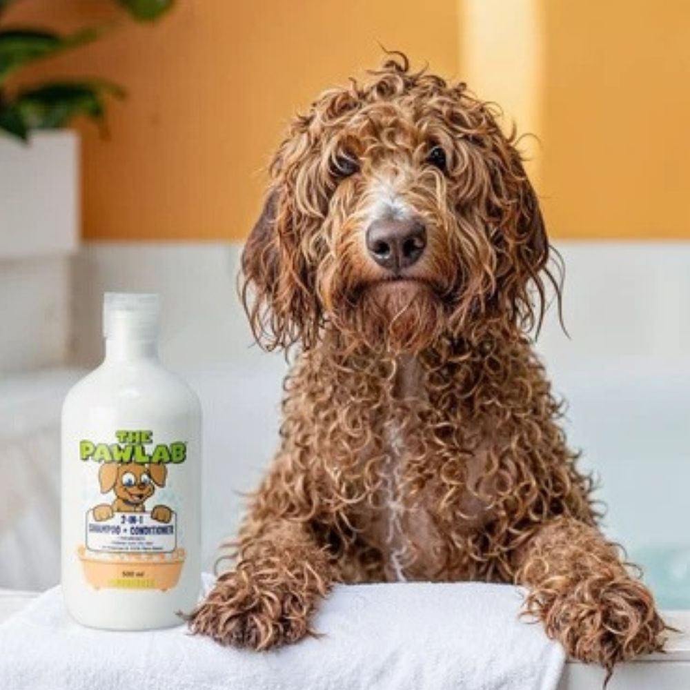 PawLab 2-In-1 Dog Shampoo + Conditioner