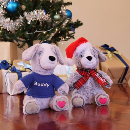 Petstock Foundation Festive Buddy Dog Toy