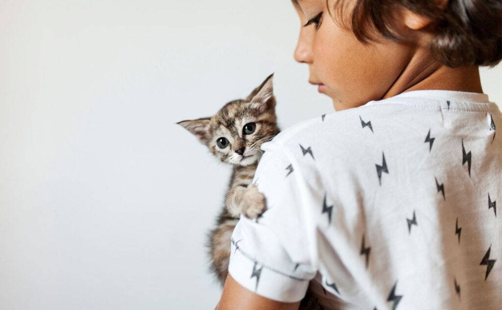 Most popular pet breeds and pet names. Boy with kitten