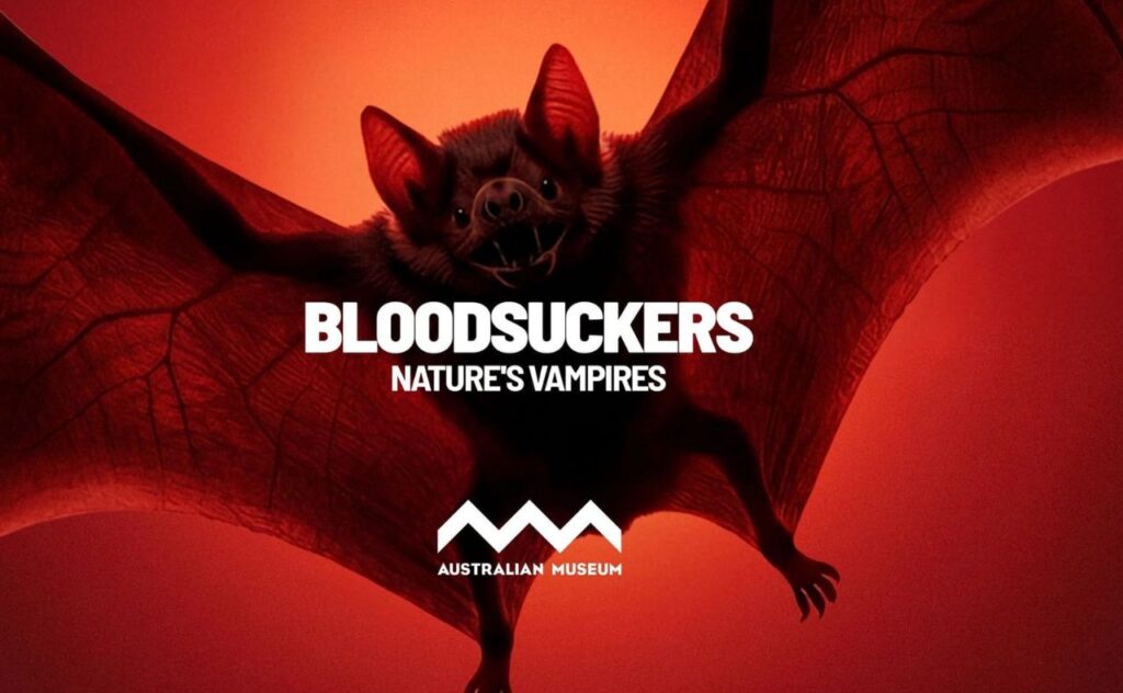 Bloodsuckers: Nature’s Vampires Exhibition Accommodation Package