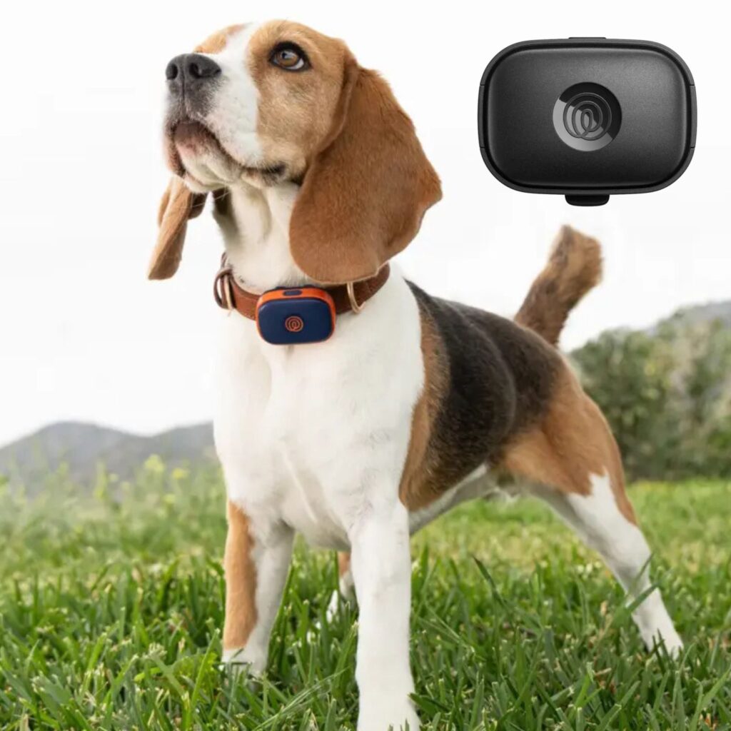 Life360 Pet GPS - Black