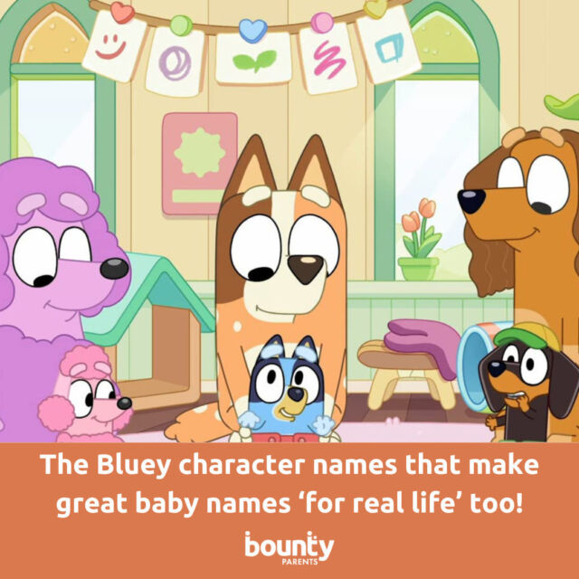 Looking for a baby name? Why not take inspiration from the clever creators behind the hit show Bluey. See the Bluey character names that make great baby names 'for real life' too at the LINKINBIO.

📷 @officialblueytv